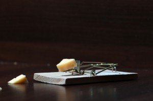 cheese in a mousetrap, verkoopgesprek