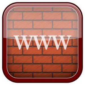 clicks and bricks, webwinkel