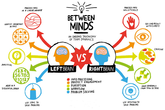 Brain_left_right