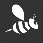 Cloudbee_bee