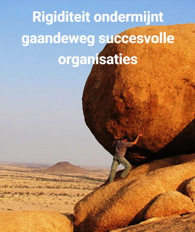 Rigiditeit 