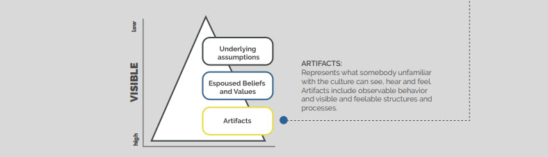 levels of organisational culture
