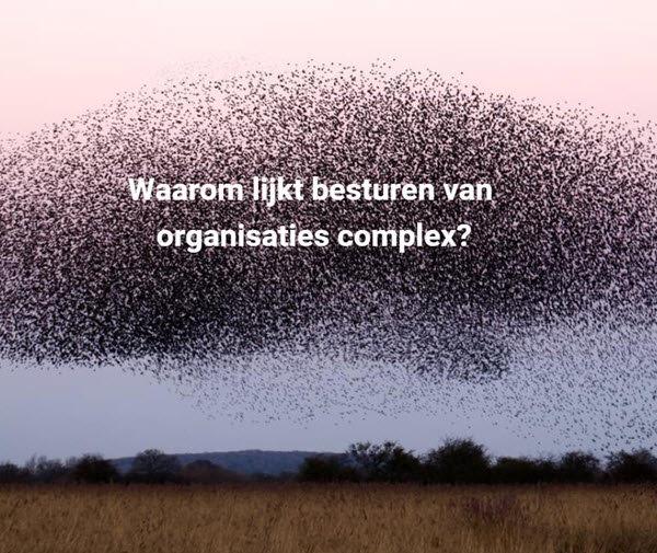 besturen van organisaties