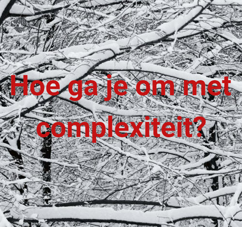 complexiteit