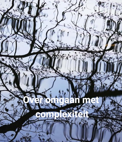 complexiteit