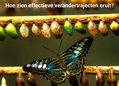 effectieve verandertrajecten