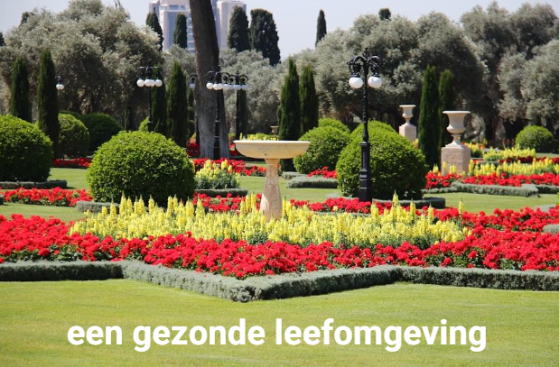 gezonde leefomgeving