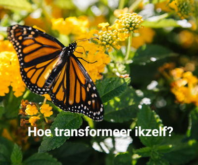 hoe transformeer ikzelf?