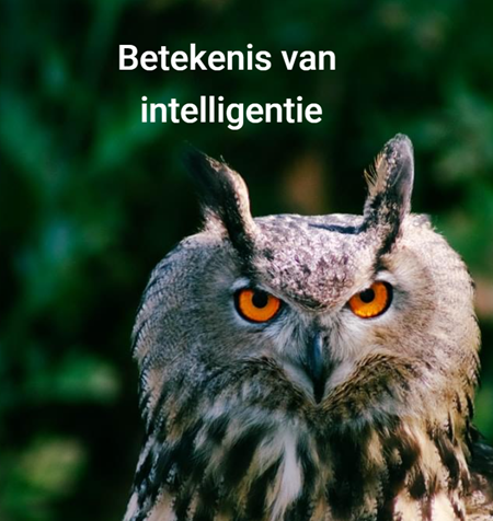 intelligentie