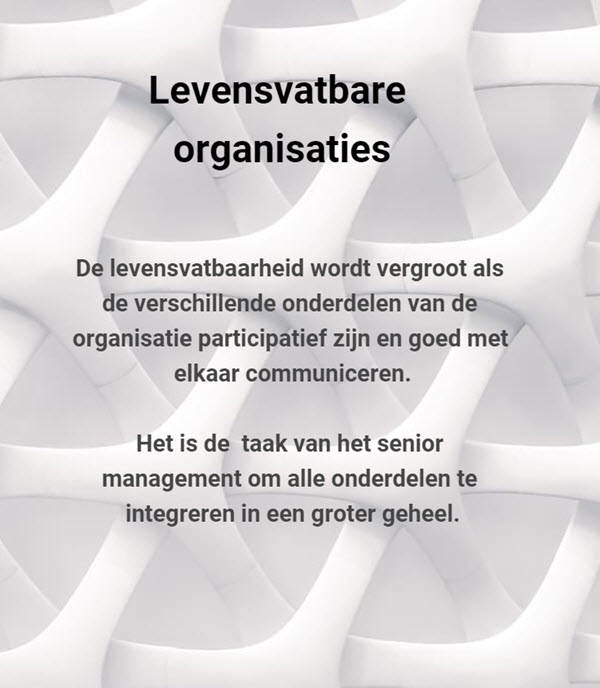 levensvatbare organisatie