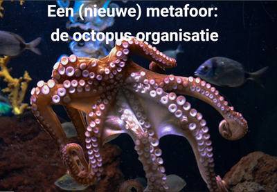 octopus organisatie