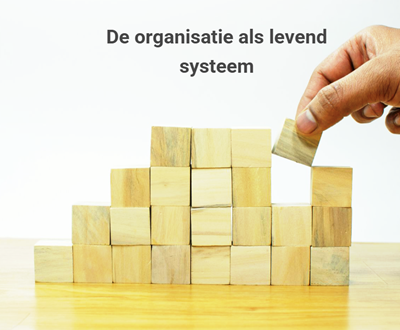 organisatie