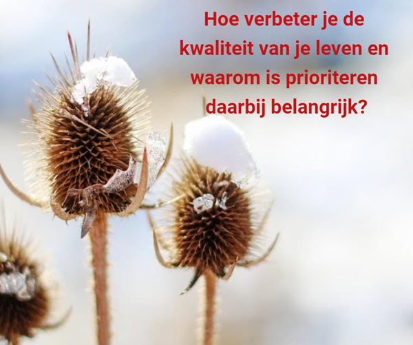 prioriteren