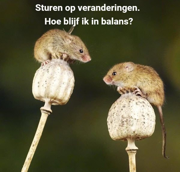 Sturen op veranderingen