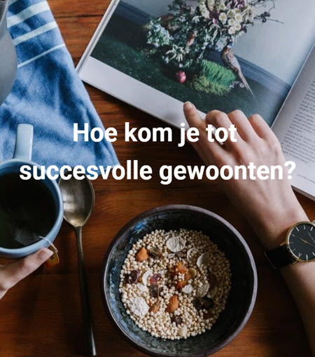 succesvolle gewoonten