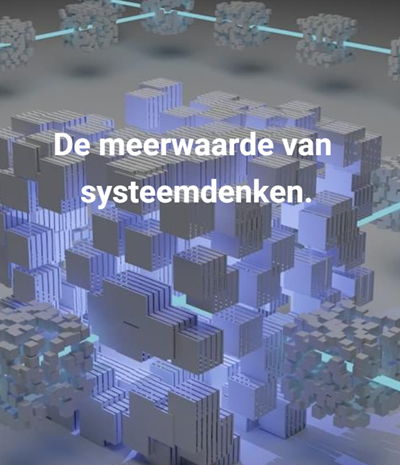 systeemdenken