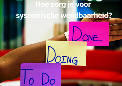 systemische wendbaarheid