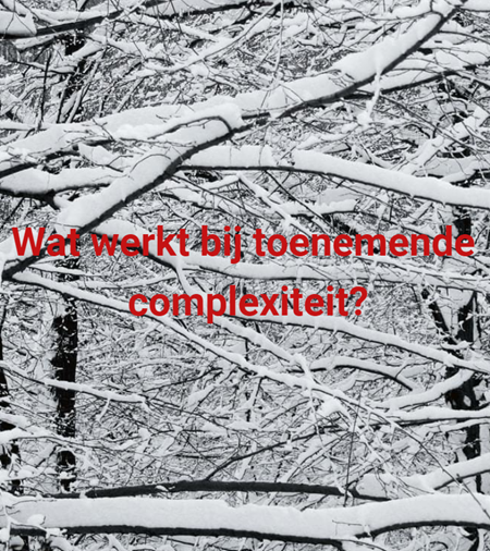 toenemende complexiteit