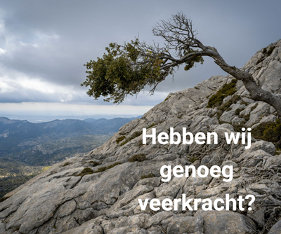  veerkracht