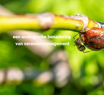 verandermanagement