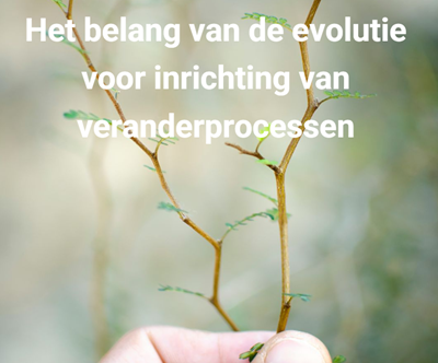 veranderprocessen